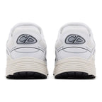 Dior B30 'White / Grey'