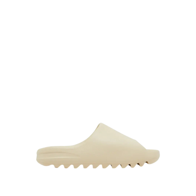 Bone